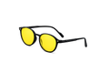Vesta Eye Protectors